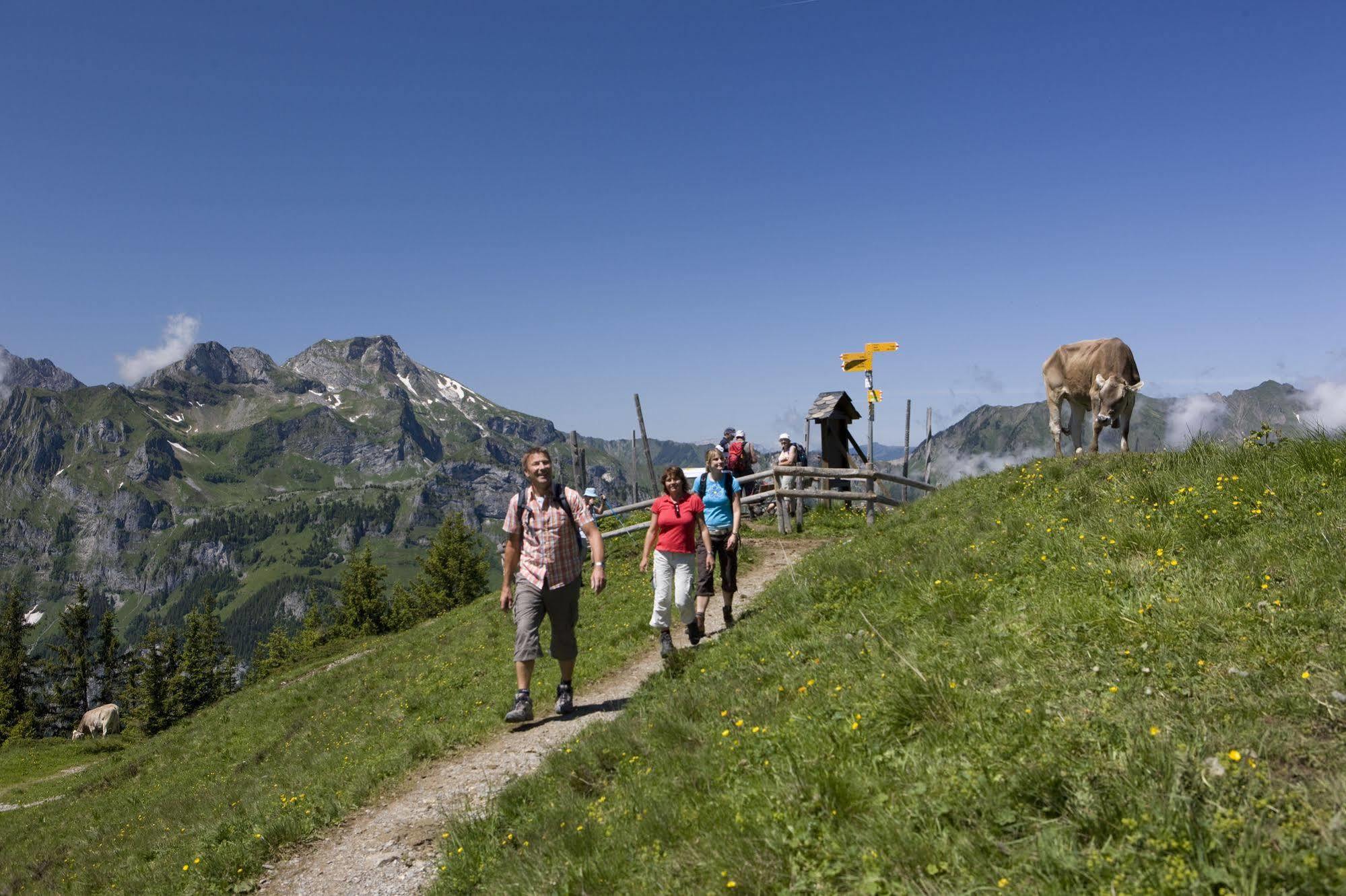 Berglodge Restaurant Ristis Engelberg Exteriör bild